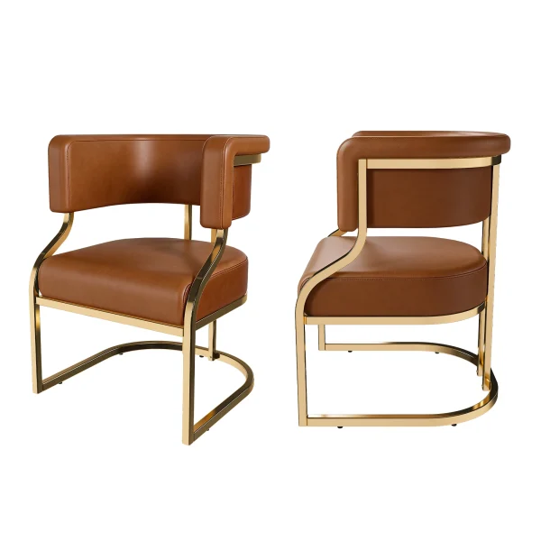 Modern Dining Chairs